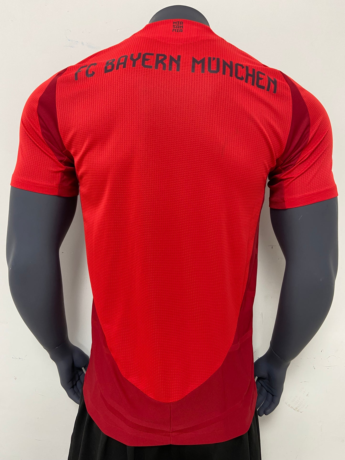 Bayern Munich 2024-2025 Kit